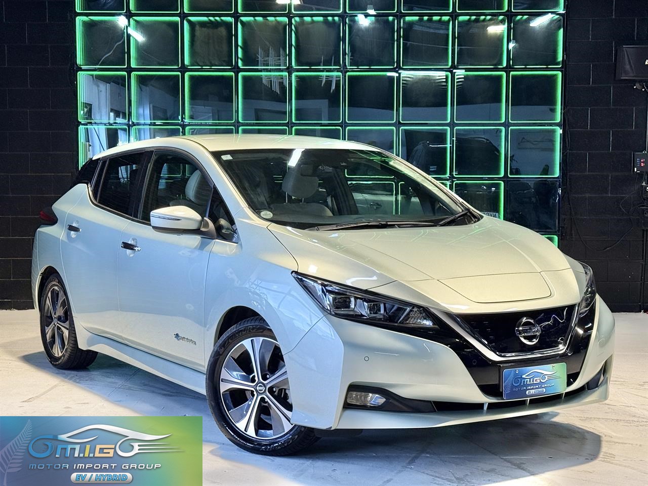 2019 Nissan Leaf